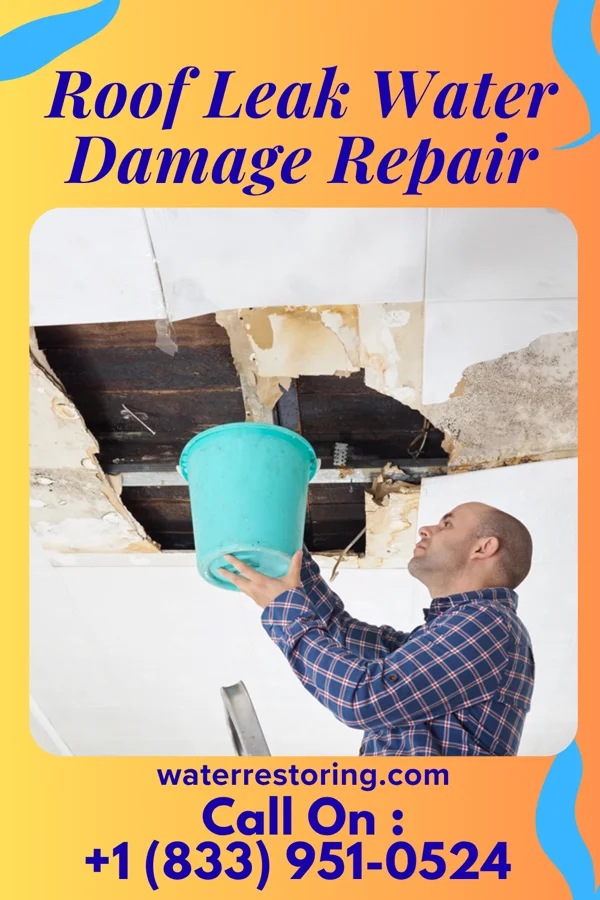 Roof Leak Water Damage Repair in Trophy Club, TX