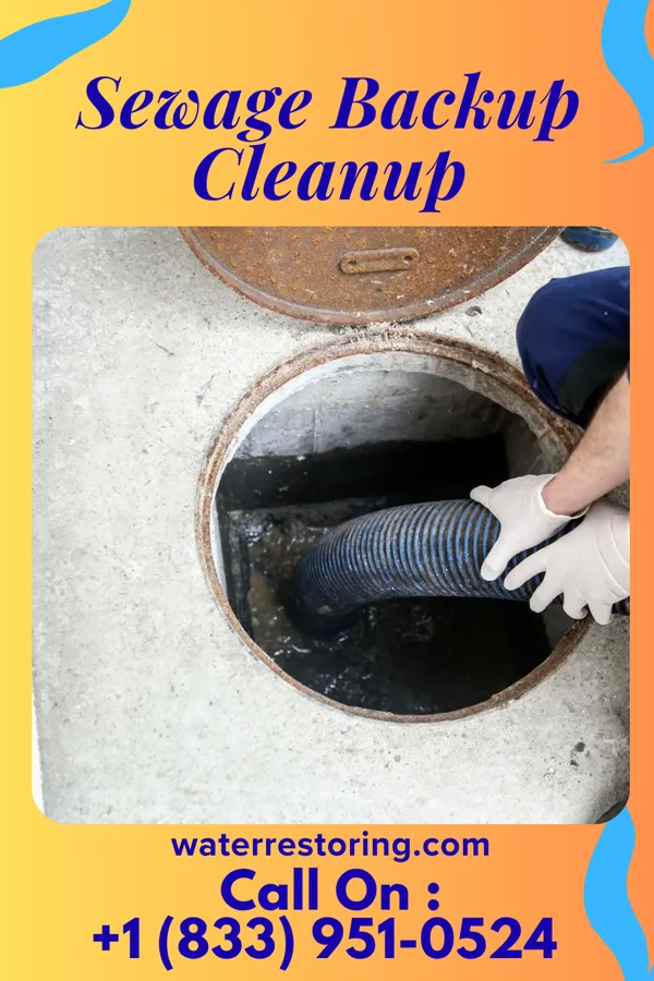 Sewage Backup Cleanup in Trophy Club, TX